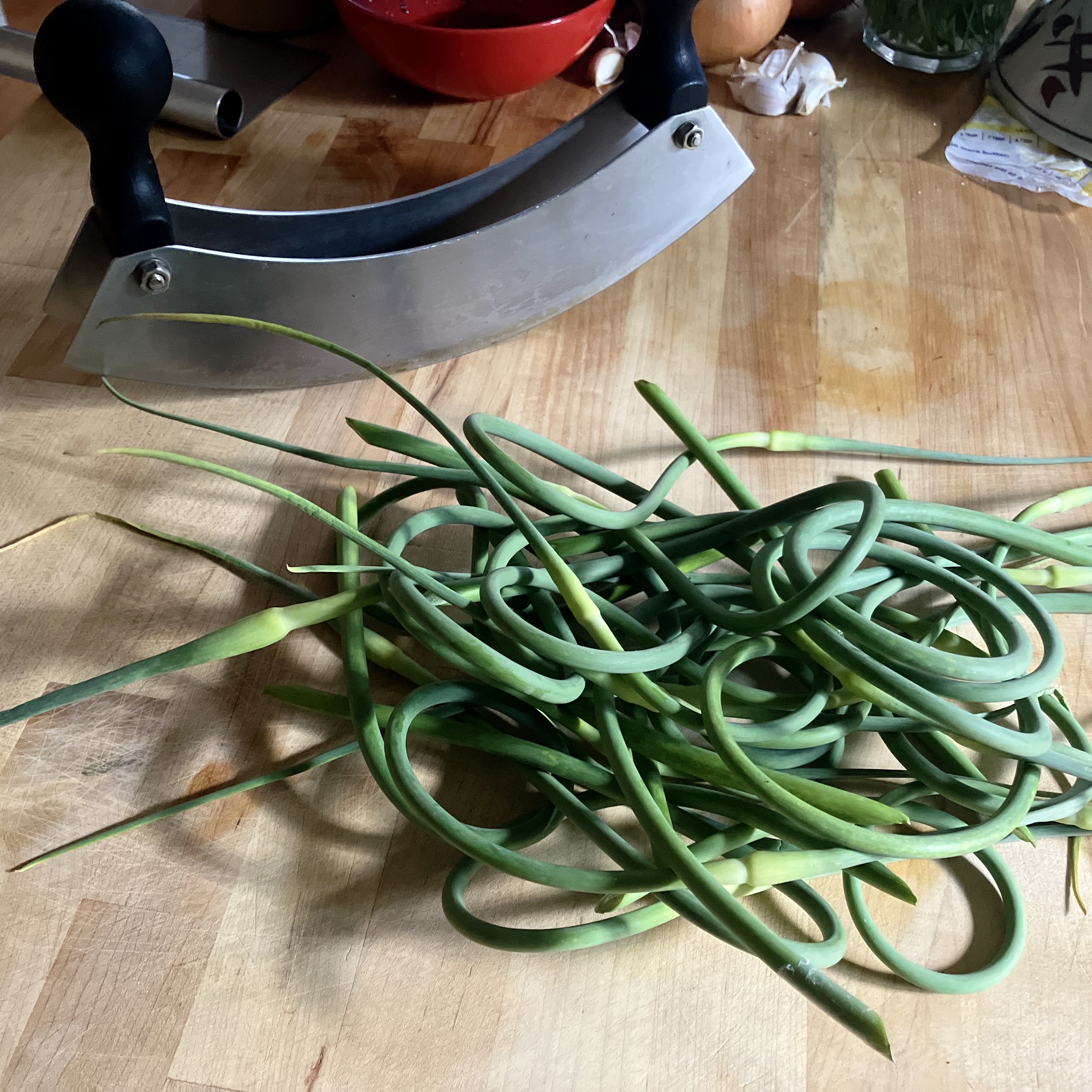 From the Field: Scape Season