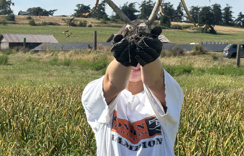 Harvest Begins — July 2026