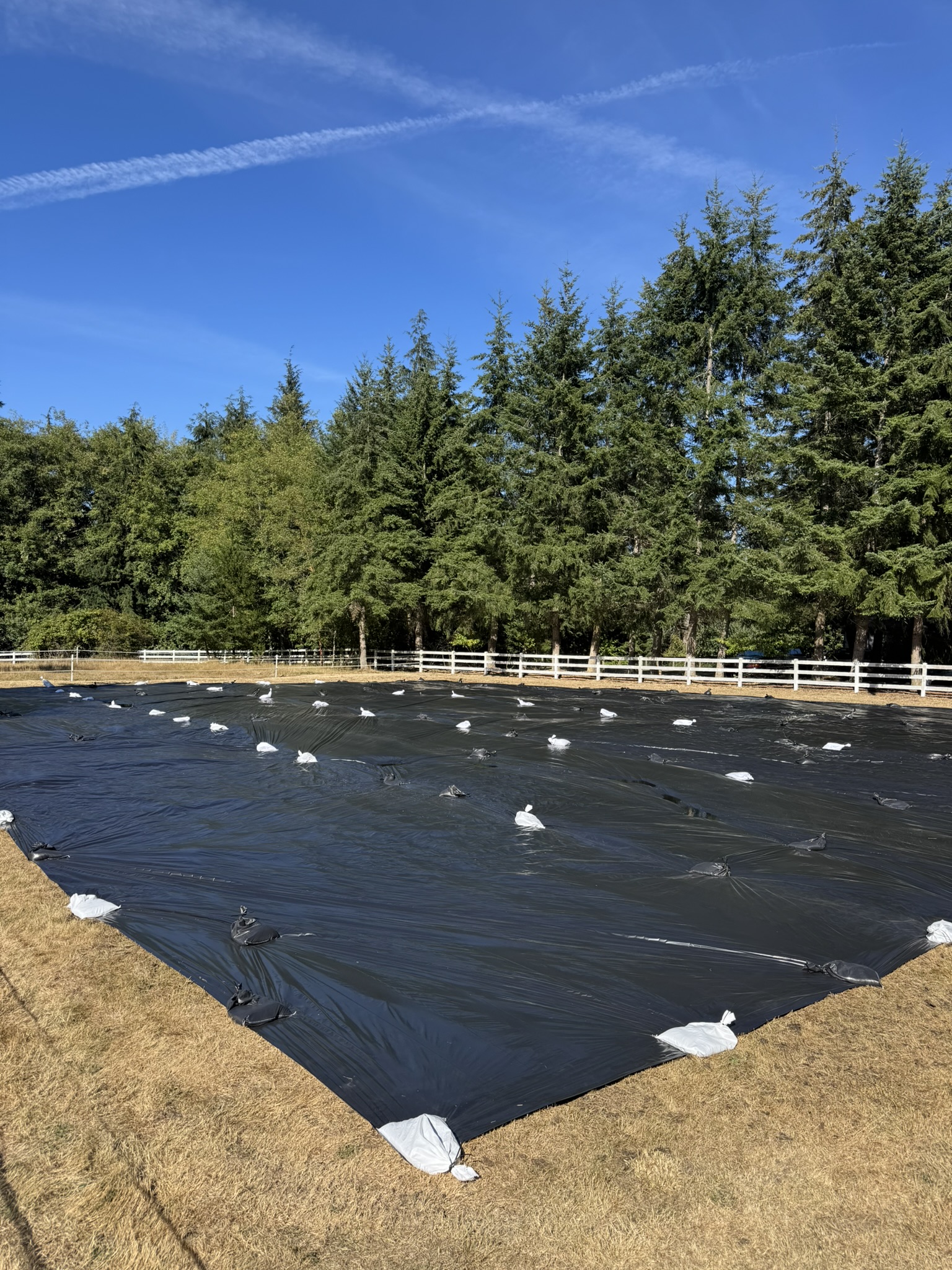 Before the First Clove — Preparing the 2027 Field